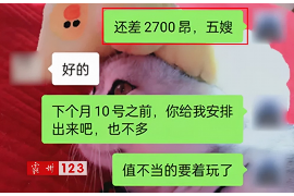 温州催收女被判刑：揭秘非法催收背后的法律风险