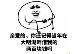 木兰催收公司：专业高效的债务催收服务解析